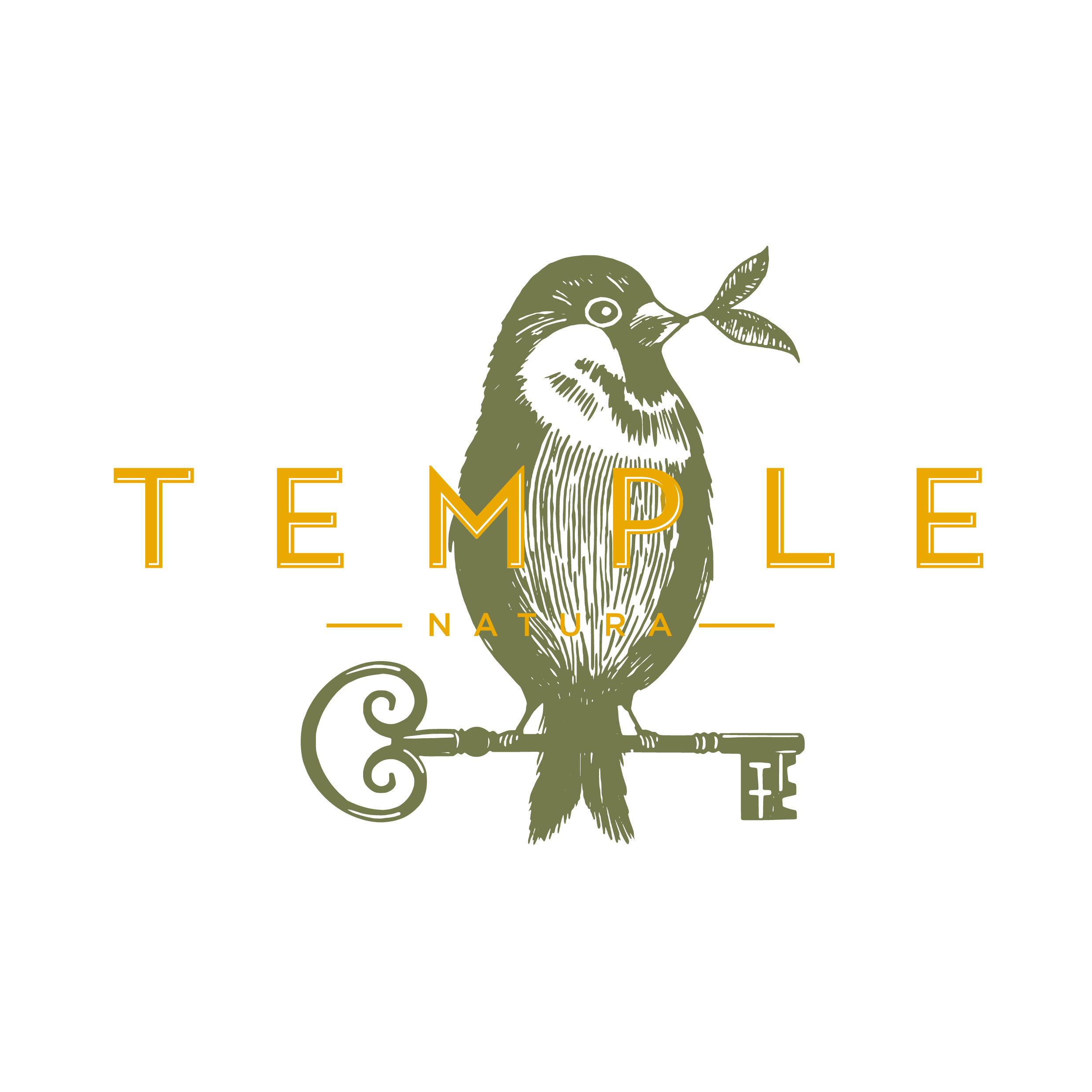 Logo-Temple-Natura-khaki-y-amarillo.png